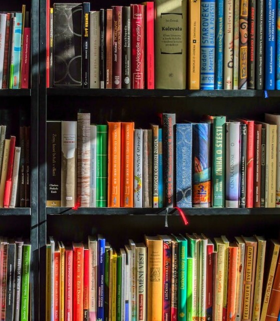 books bookstore book reading 159711